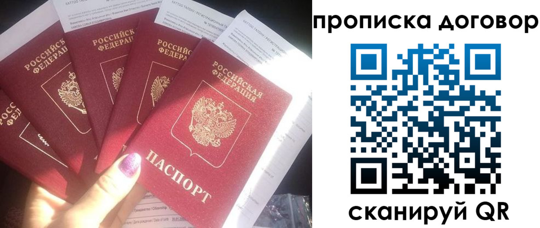 где прописаться в Калининградской области